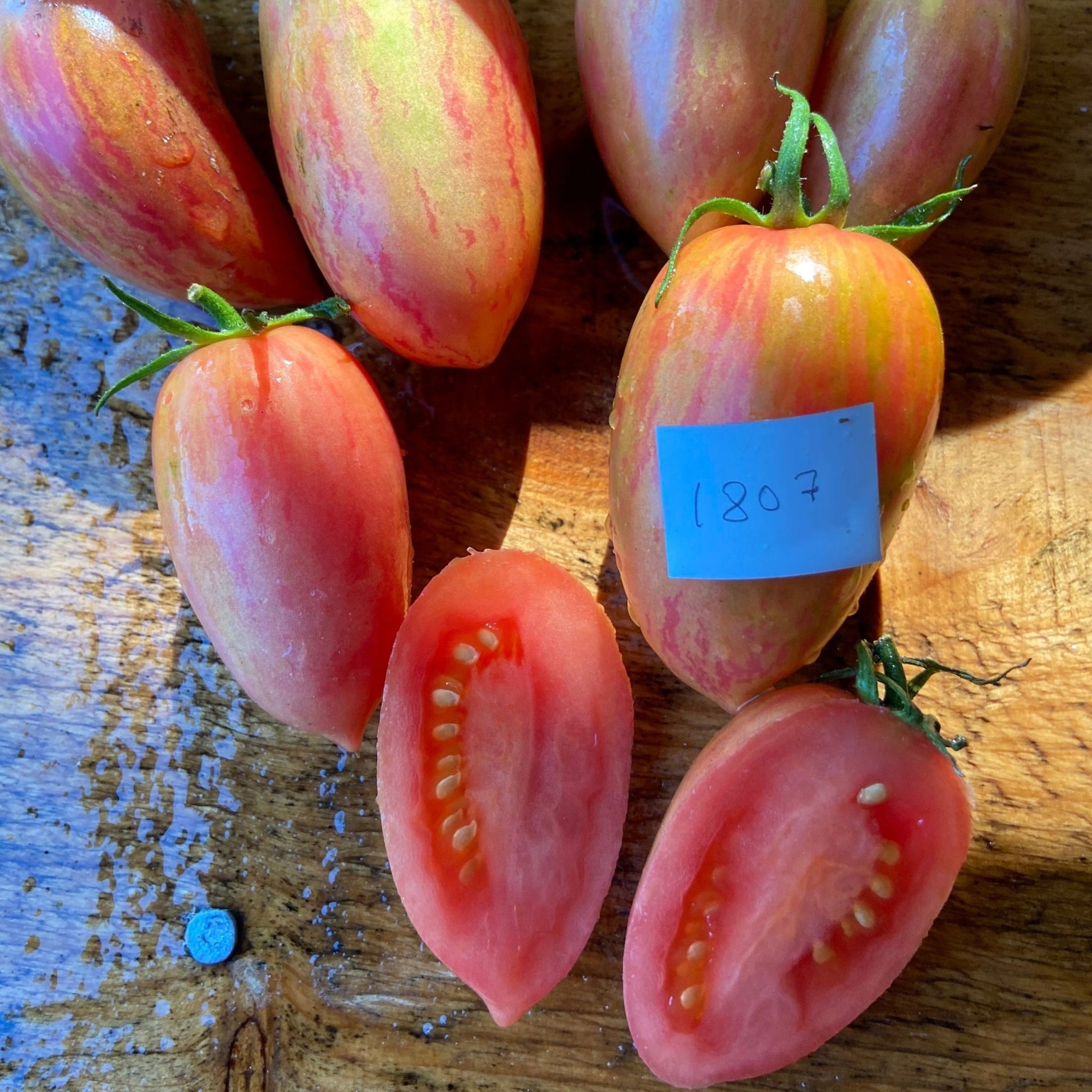 Candy Sweet Icicle Tomato - Greta's Family Gardens