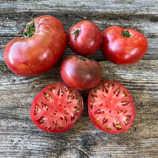 Carbon Tomato - Organic - Greta's Family Gardens