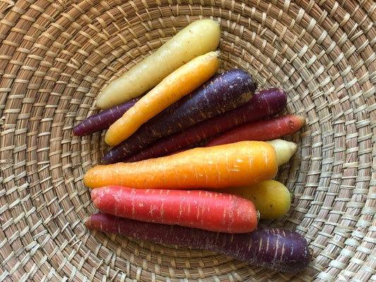 Carrot Mix - Organic - Greta's Family Gardens