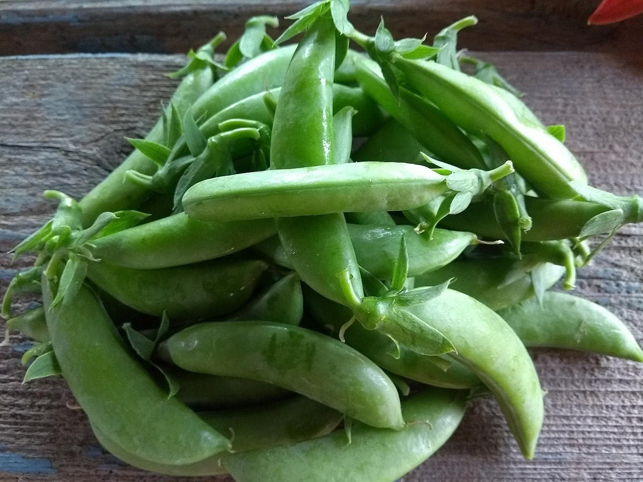 Cascadia Snap Peas - Organic - Greta's Family Gardens