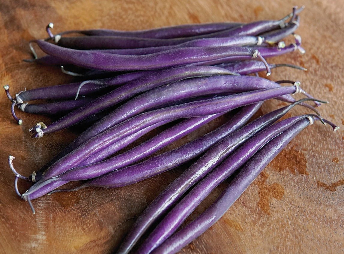 Celine Snap Bush Bean - Organic - Greta's Family Gardens