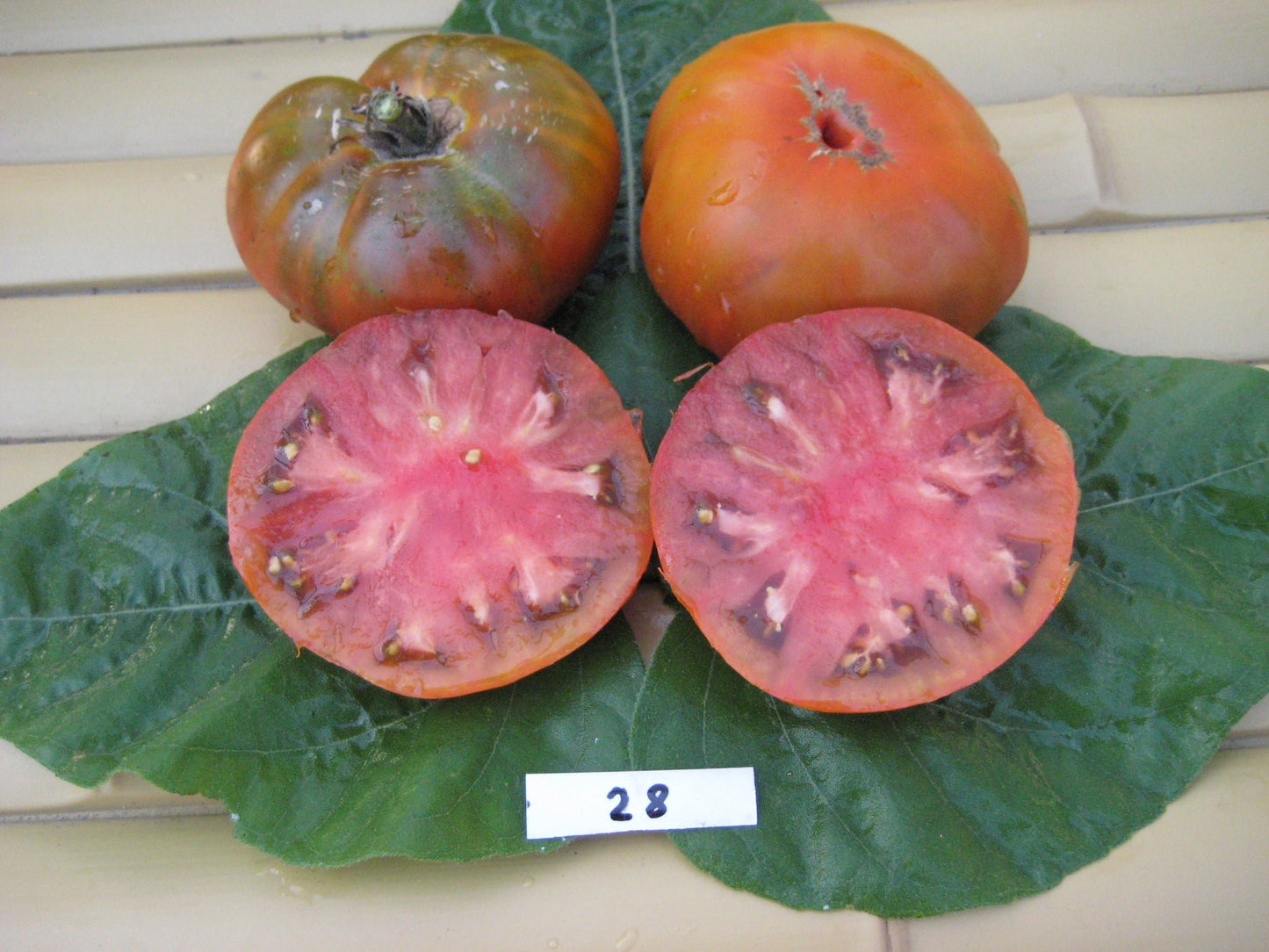 Cherokee Chocolate Tomato - Organic - Greta's Family Gardens