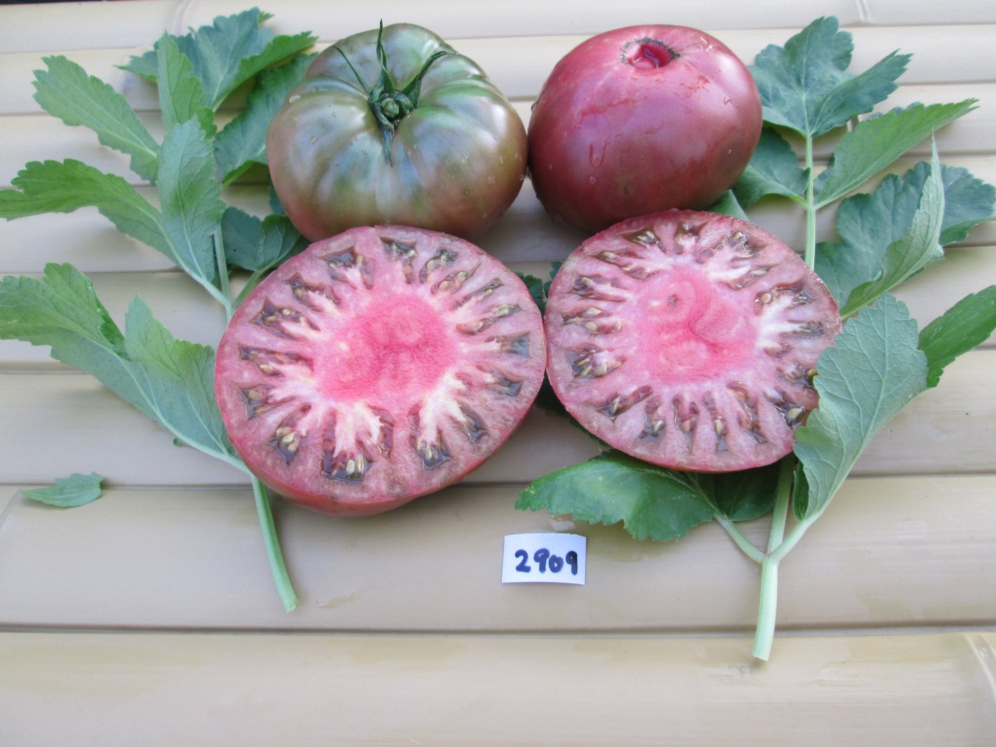 Cherokee Purple Tomato - Organic - Greta's Family Gardens