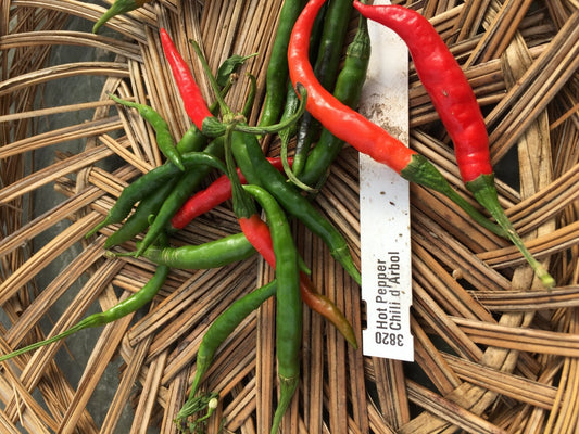 Chili d'Arbol Hot Pepper - Organic - Greta's Family Gardens