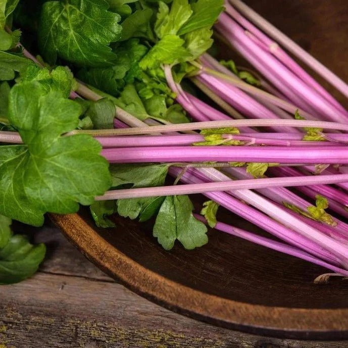 Chinese Pink Celery - Organic - Greta's Family Gardens