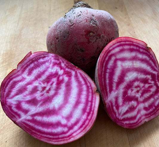 Chioggia Beets - Greta's Family Gardens