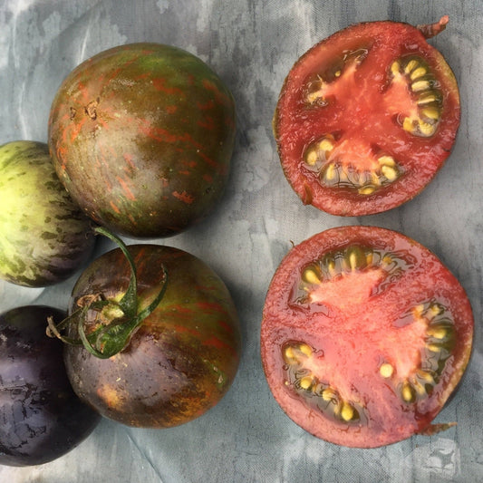 Cosmic Eclipse Tomato - Organic - Greta's Family Gardens