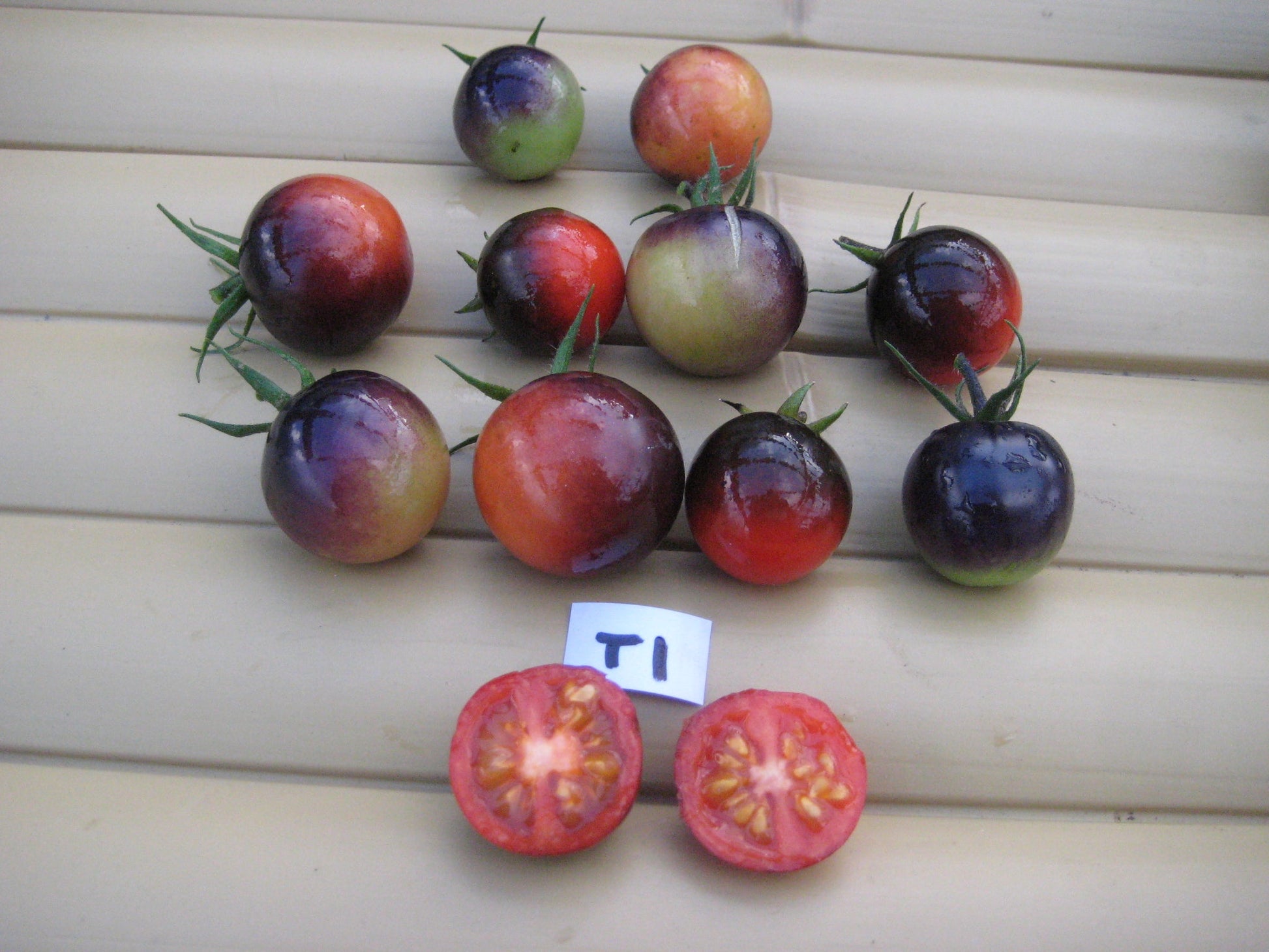 Dancing with Smurfs Cherry Tomato - Organic - Greta's Family Gardens