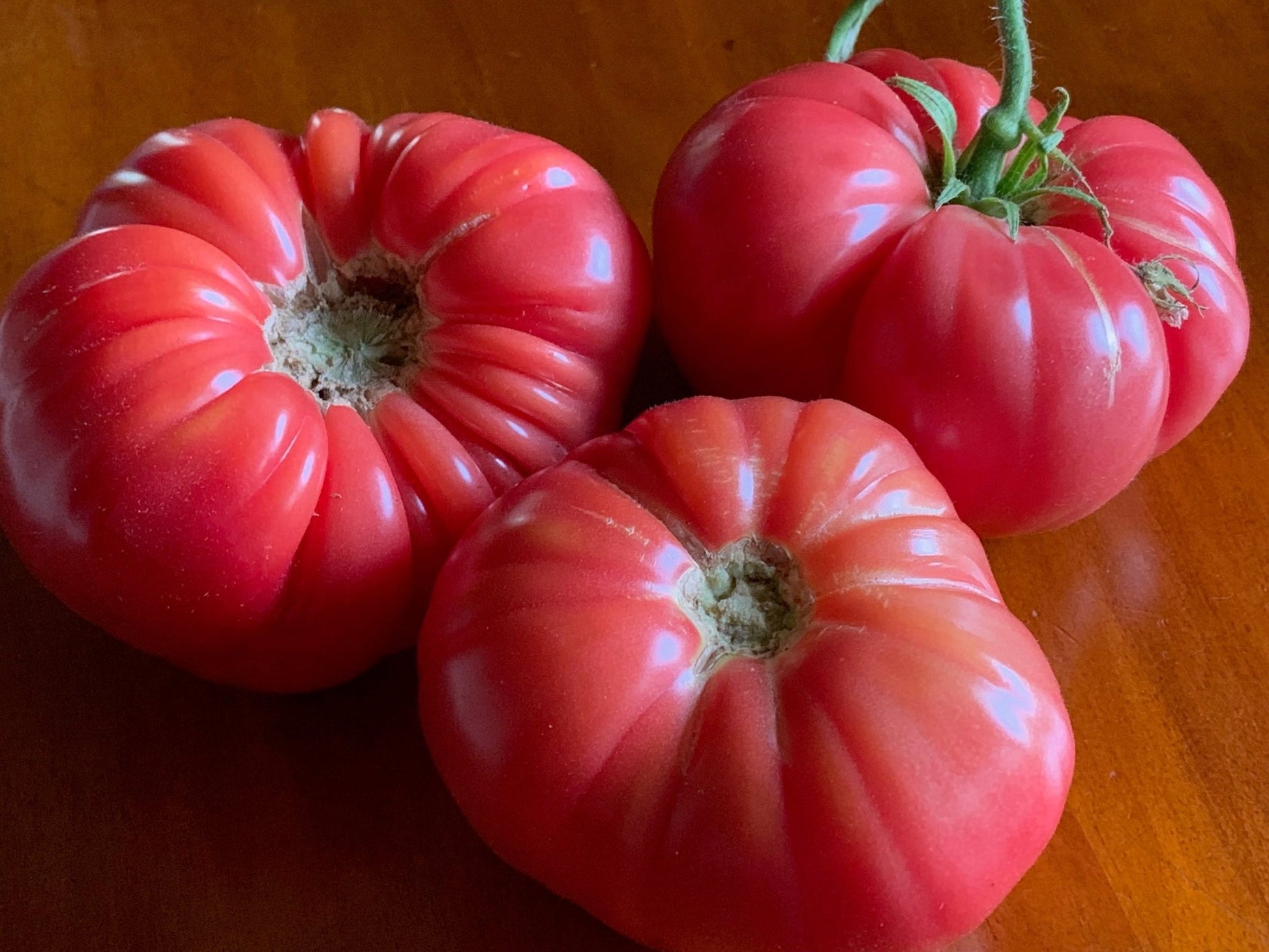 Dester Tomato - Greta's Family Gardens