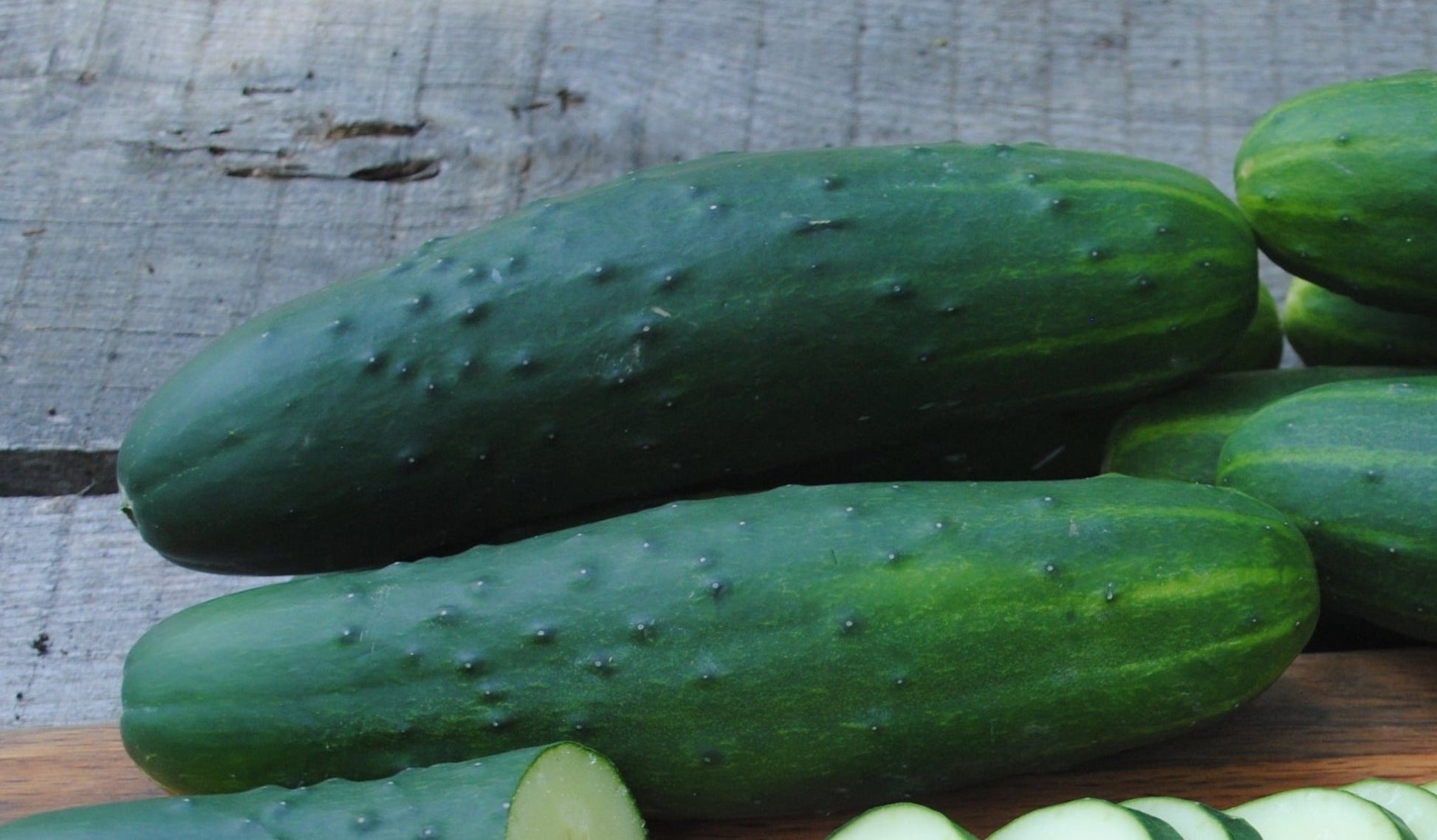 DMR 401 Cucumber - Organic - Greta's Family Gardens