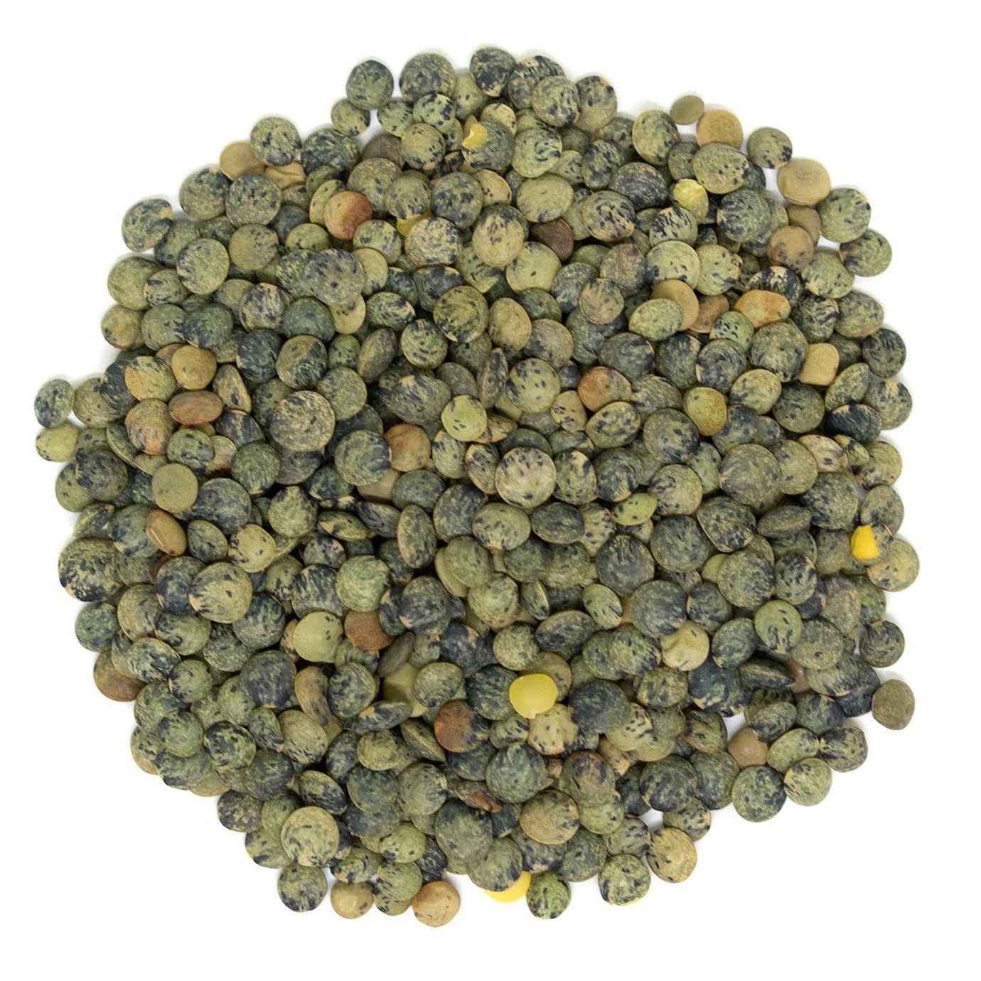 LENTILS