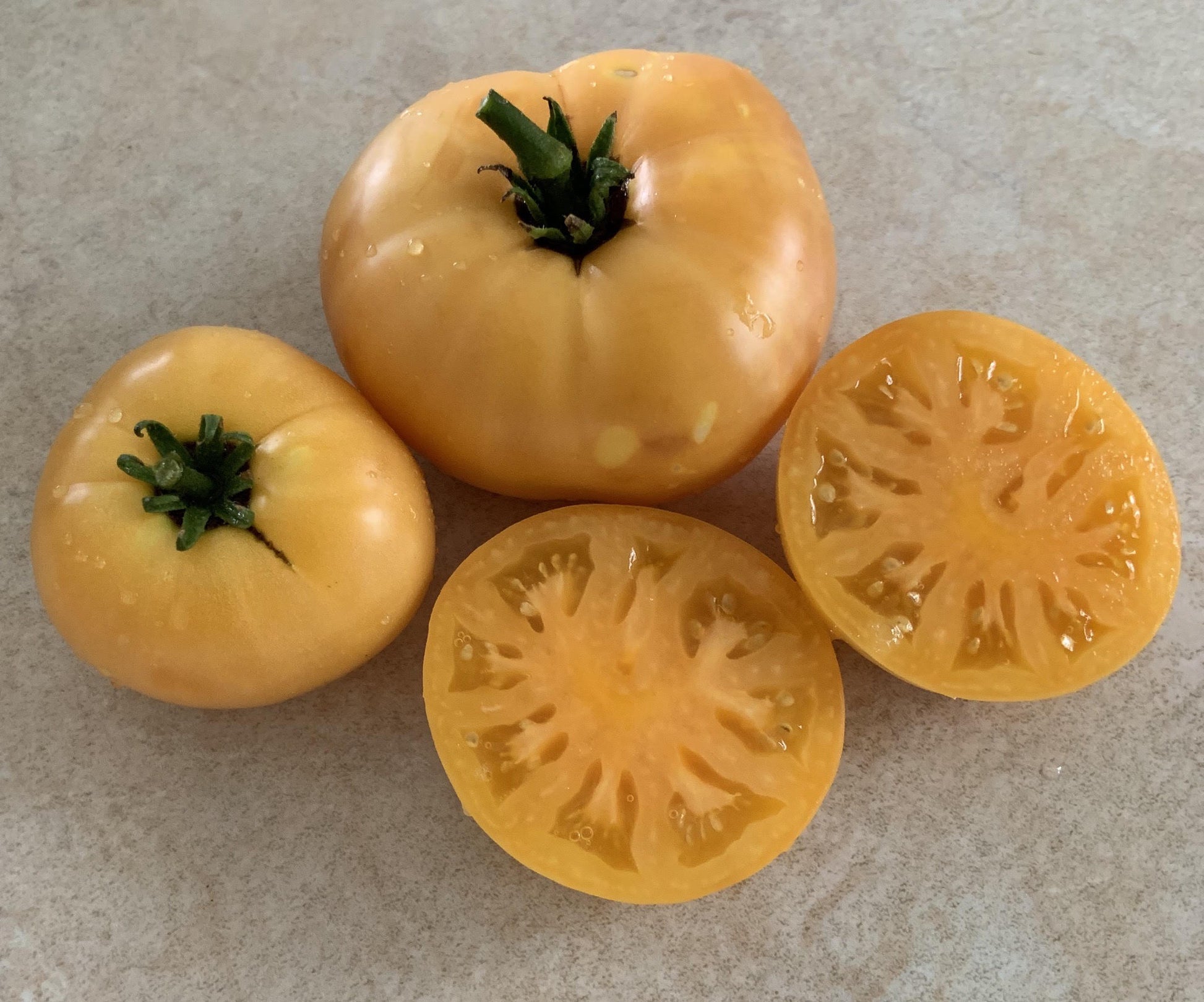 Dwarf Orange Cream Tomato - Organic - Greta's Family Gardens