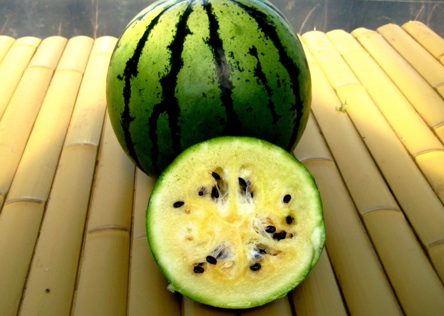 Early Moonbeam Watermelon - Organic - Greta's Family Gardens