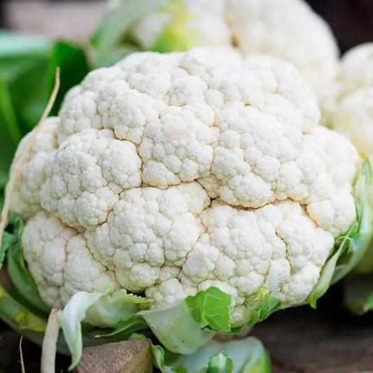 Early Snowball Cauliflower - Greta's Family Gardens