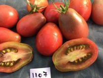 Evan's Purple Pear Tomato - Organic - Greta's Family Gardens