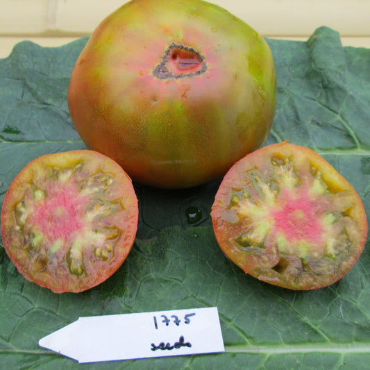 Everett's Rusty Oxheart Tomato - Greta's Family Gardens