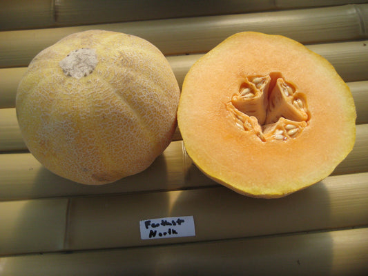 Farthest North Melon - Organic - Greta's Family Gardens