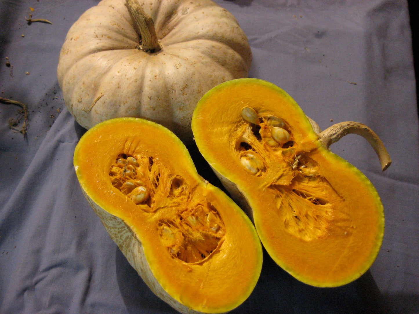 Flat White Boer Pumpkin - Organic - Greta's Family Gardens