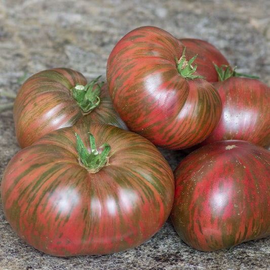 Fred's Tie Dye Tomato - Greta's Family Gardens