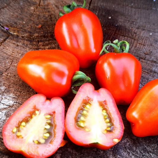 Gardener's Sweetheart Tomato - Organic - Greta's Family Gardens