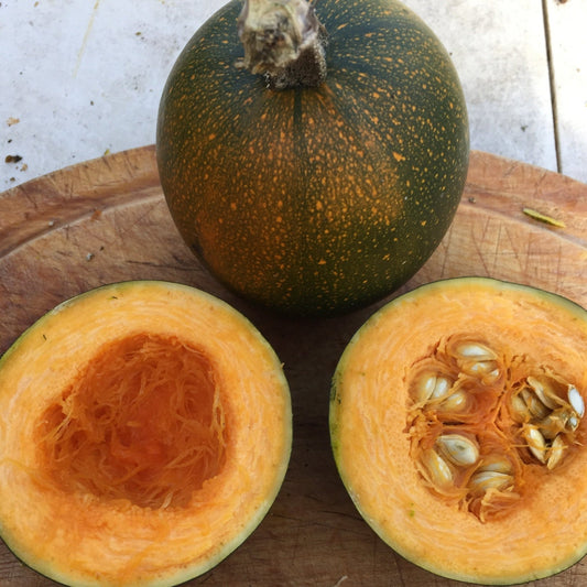 Gem Squash - Greta's Family Gardens