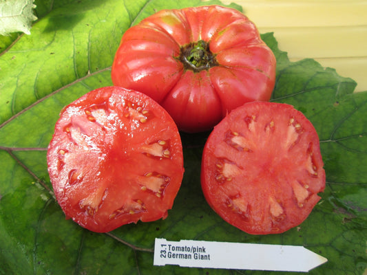 German Giant Tomato - Greta's Family Gardens