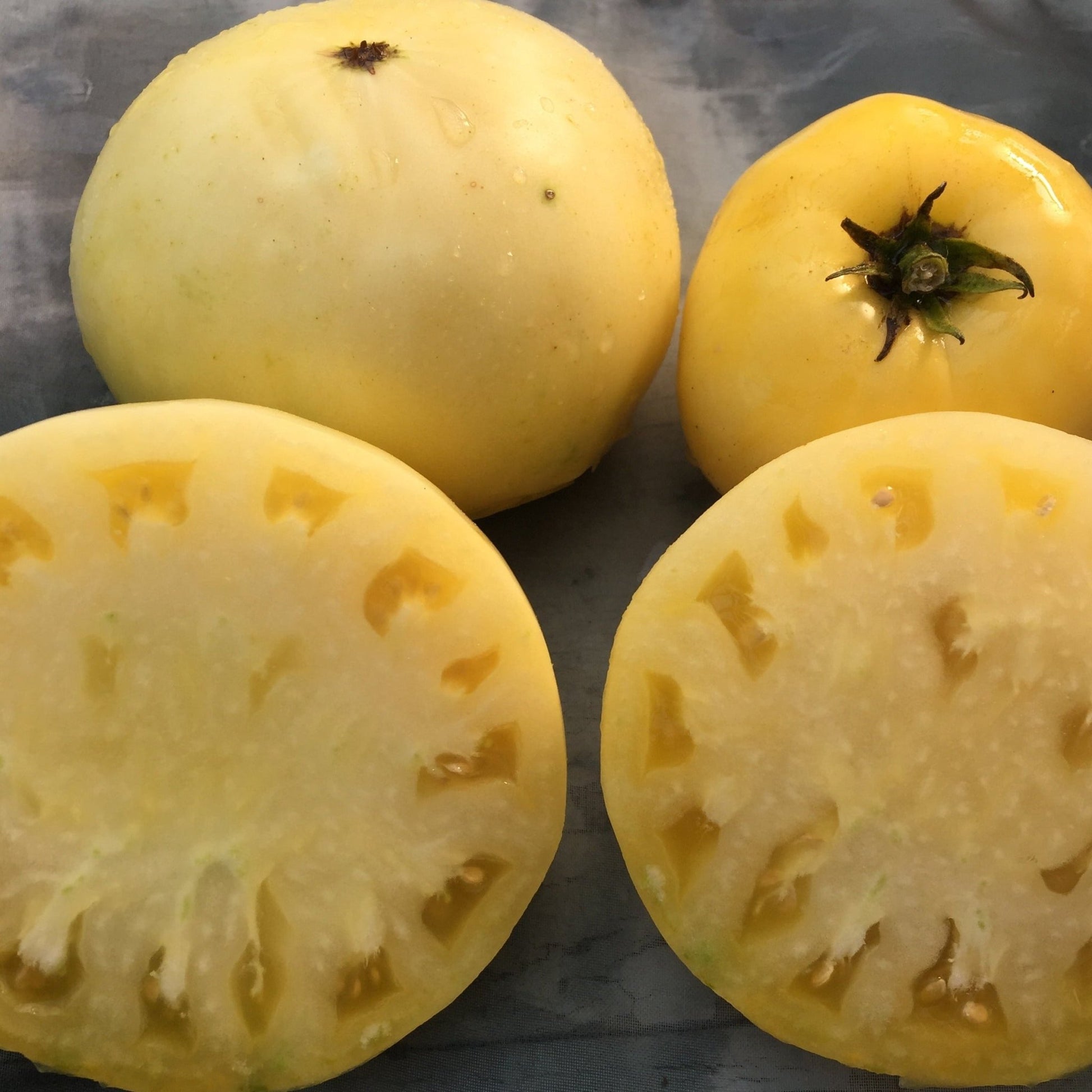 Great White Tomato - Organic - Greta's Family Gardens