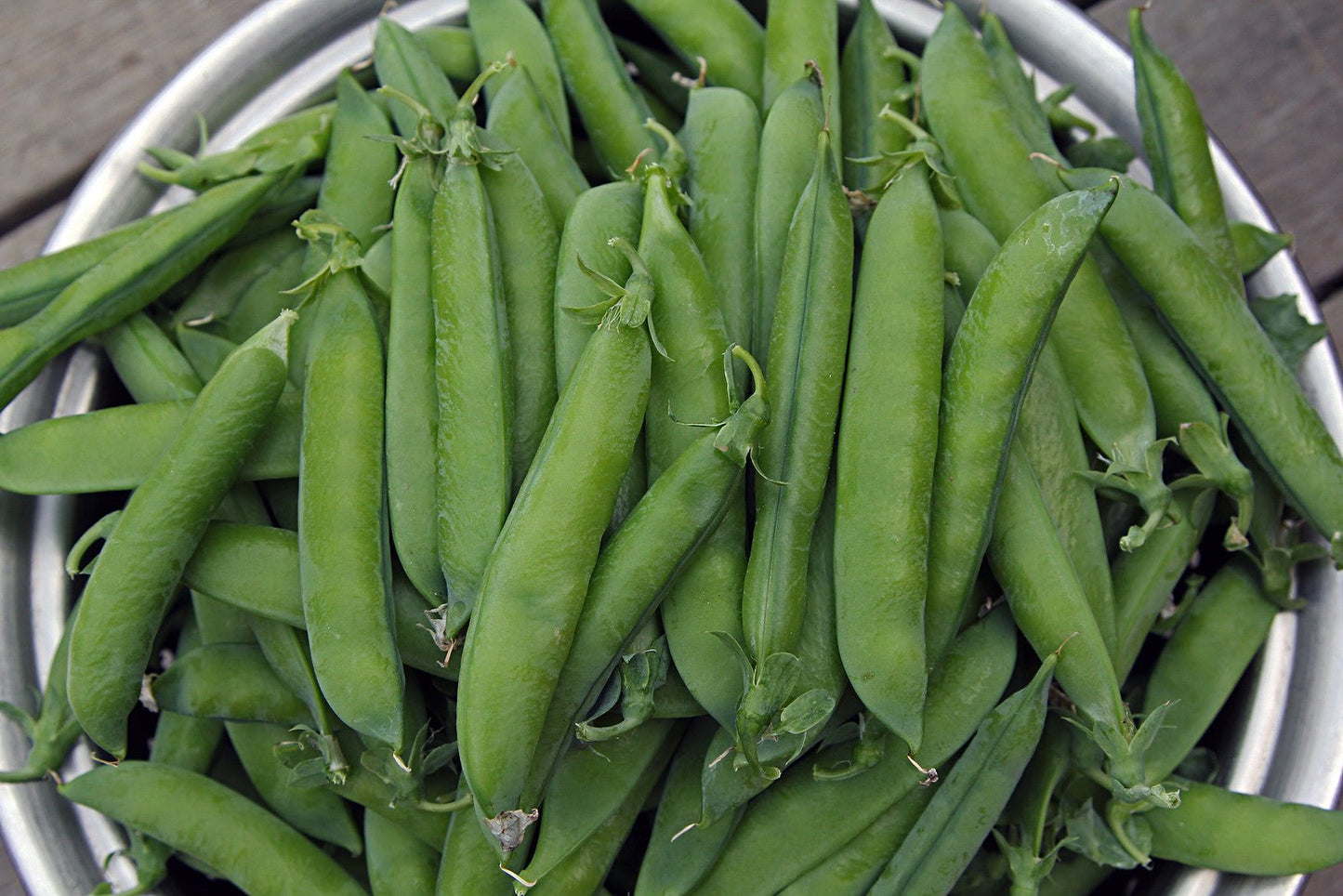 Green Arrow Peas - Organic - Greta's Family Gardens