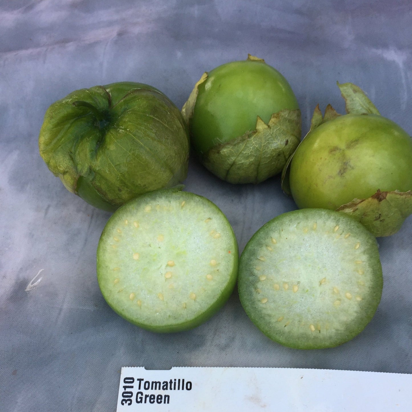 Green Tomatillo - Organic - Greta's Family Gardens