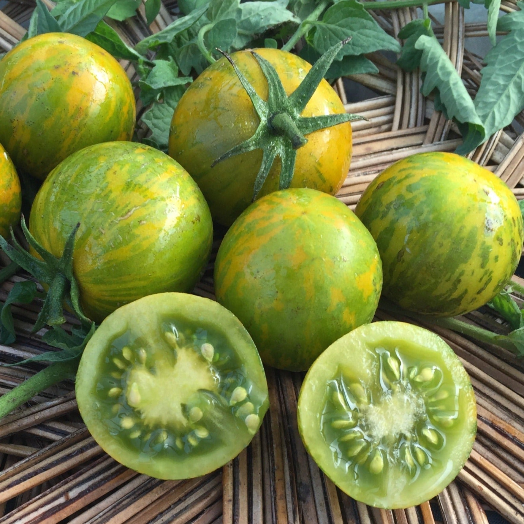 Green Zebra Cherry Tomato - Organic - Greta's Family Gardens