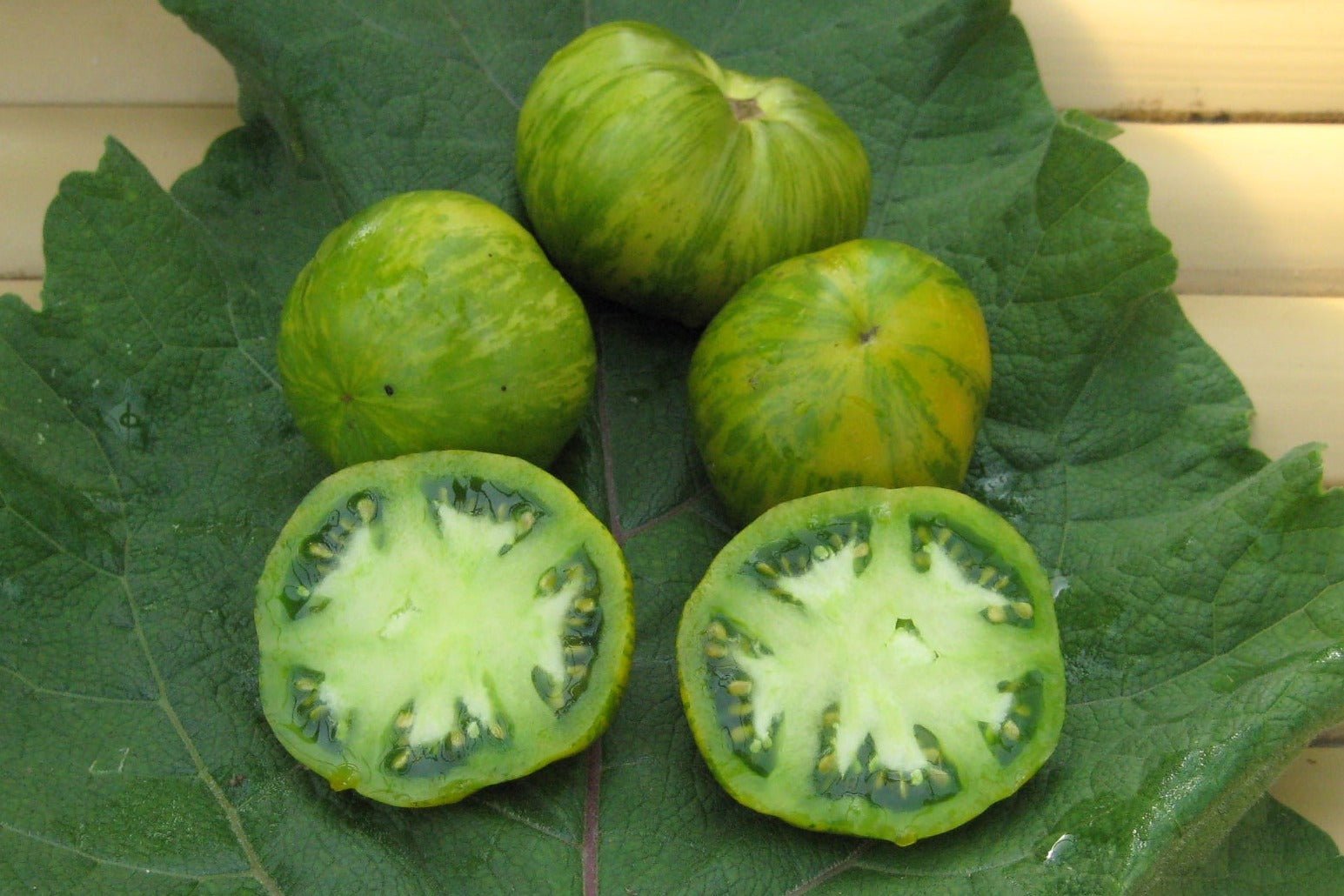 Green Zebra Tomato - Organic - Greta's Family Gardens