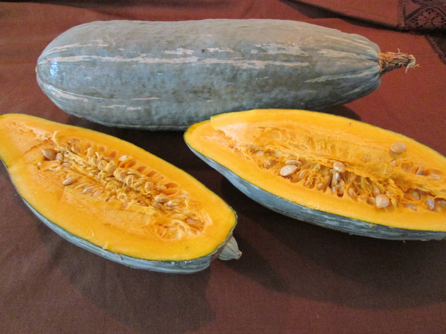 Guatamalan Blue Banana Squash - Greta's Family Gardens