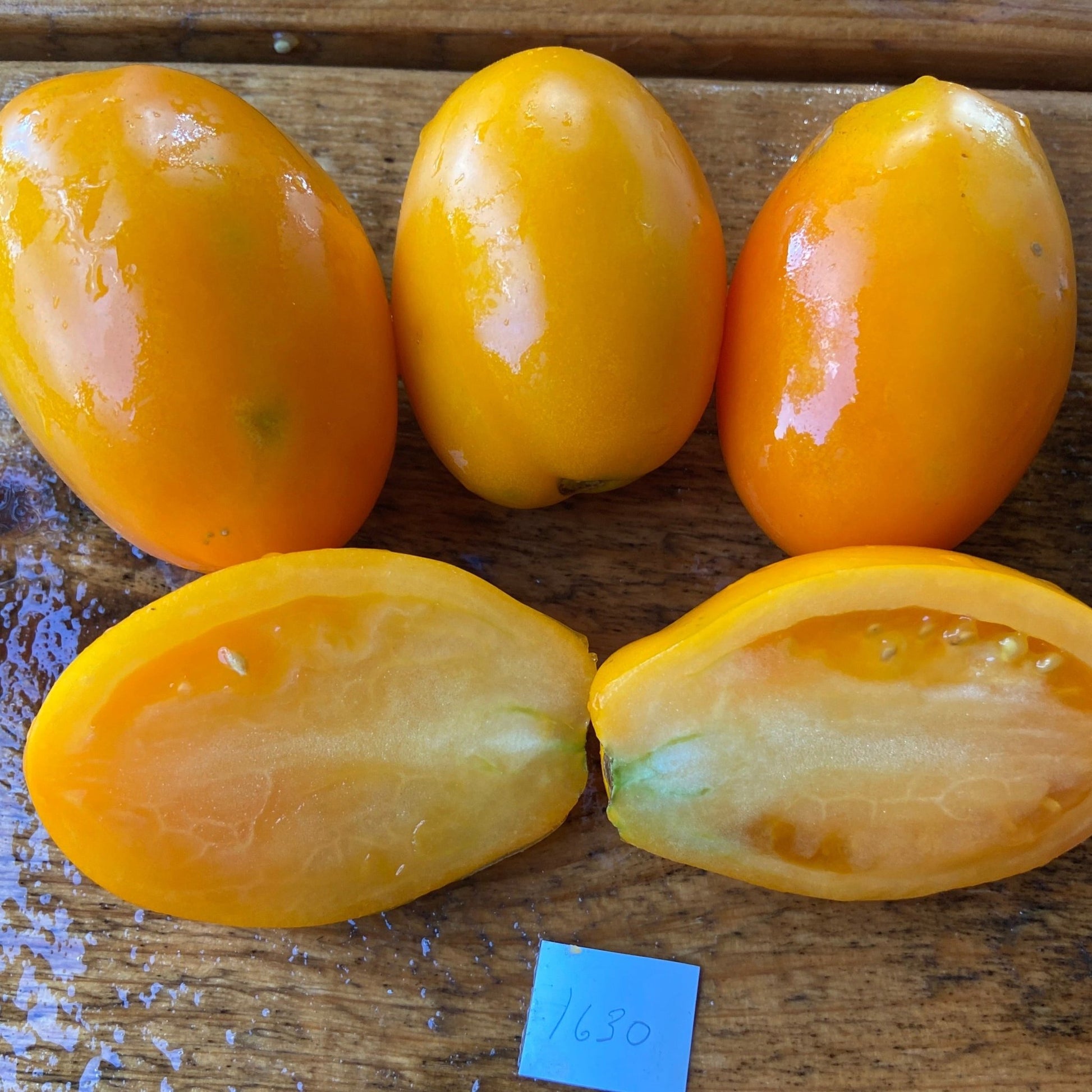 Italian Gold Tomato - Greta's Family Gardens