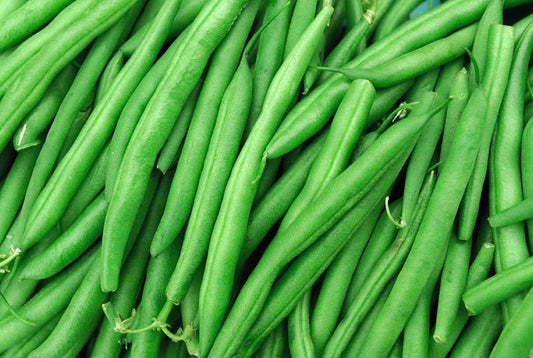 Jade Bush Beans - Organic - Greta's Family Gardens