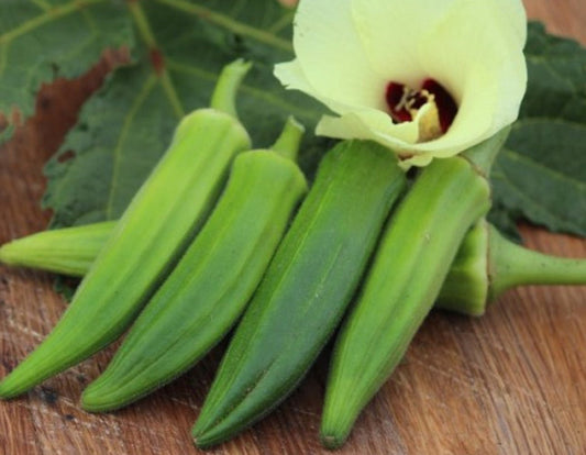 Jade Okra - Greta's Family Gardens