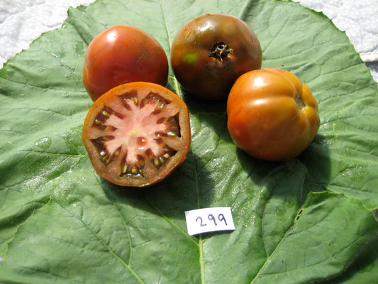 Japanese Black Trifele Tomato - Organic - Greta's Family Gardens