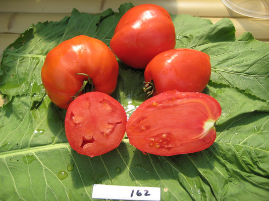 Kenosha Tomato - Organic - Greta's Family Gardens