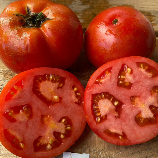 Legend Tomato - Greta's Family Gardens