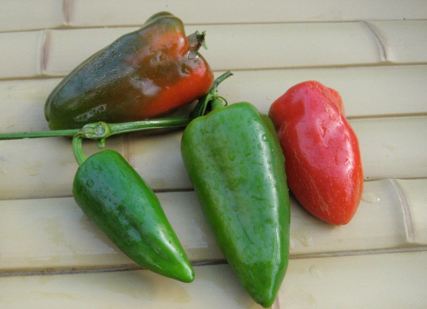 Lipstick Pepper - Organic - Greta's Family Gardens