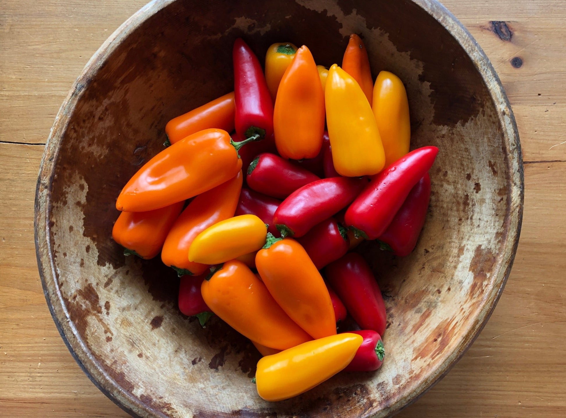 Lunchbox Peppers Mix - Greta's Family Gardens