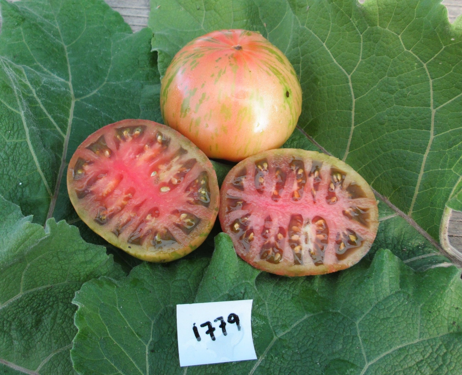 Lush Queen Tomato - Organic - Greta's Family Gardens