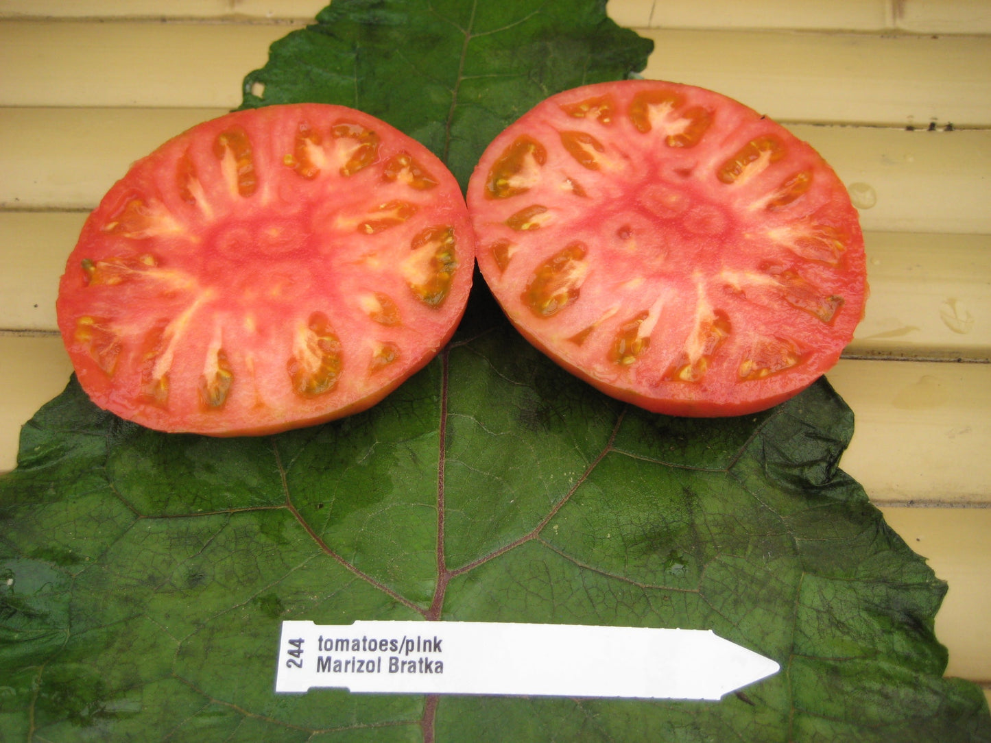 Marizol Bratka Tomato - Organic - Greta's Family Gardens