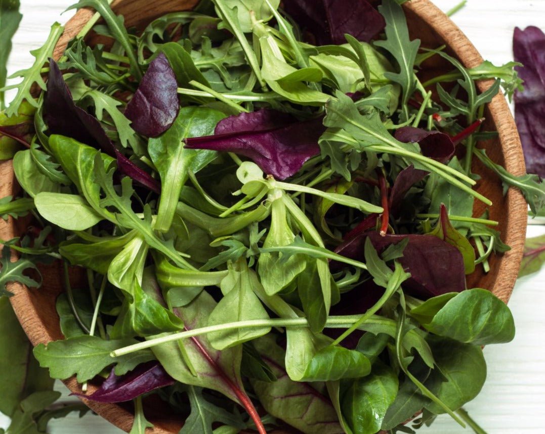 Mesclun Spicy Mix - Organic - Greta's Family Gardens