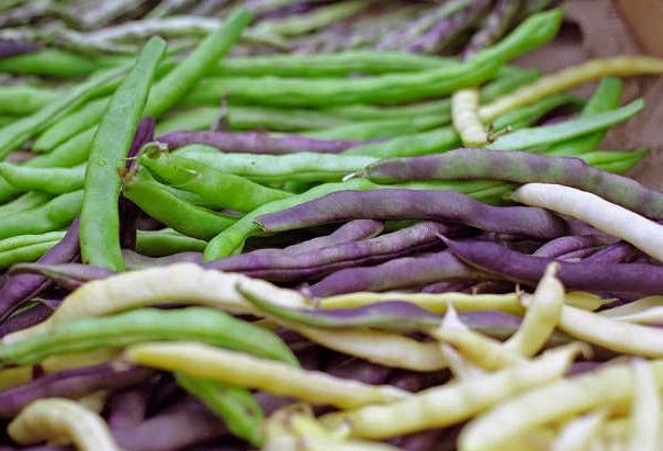 Mix Beans - Organic - Greta's Family Gardens