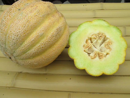 Montreal Melon - Organic - Greta's Family Gardens