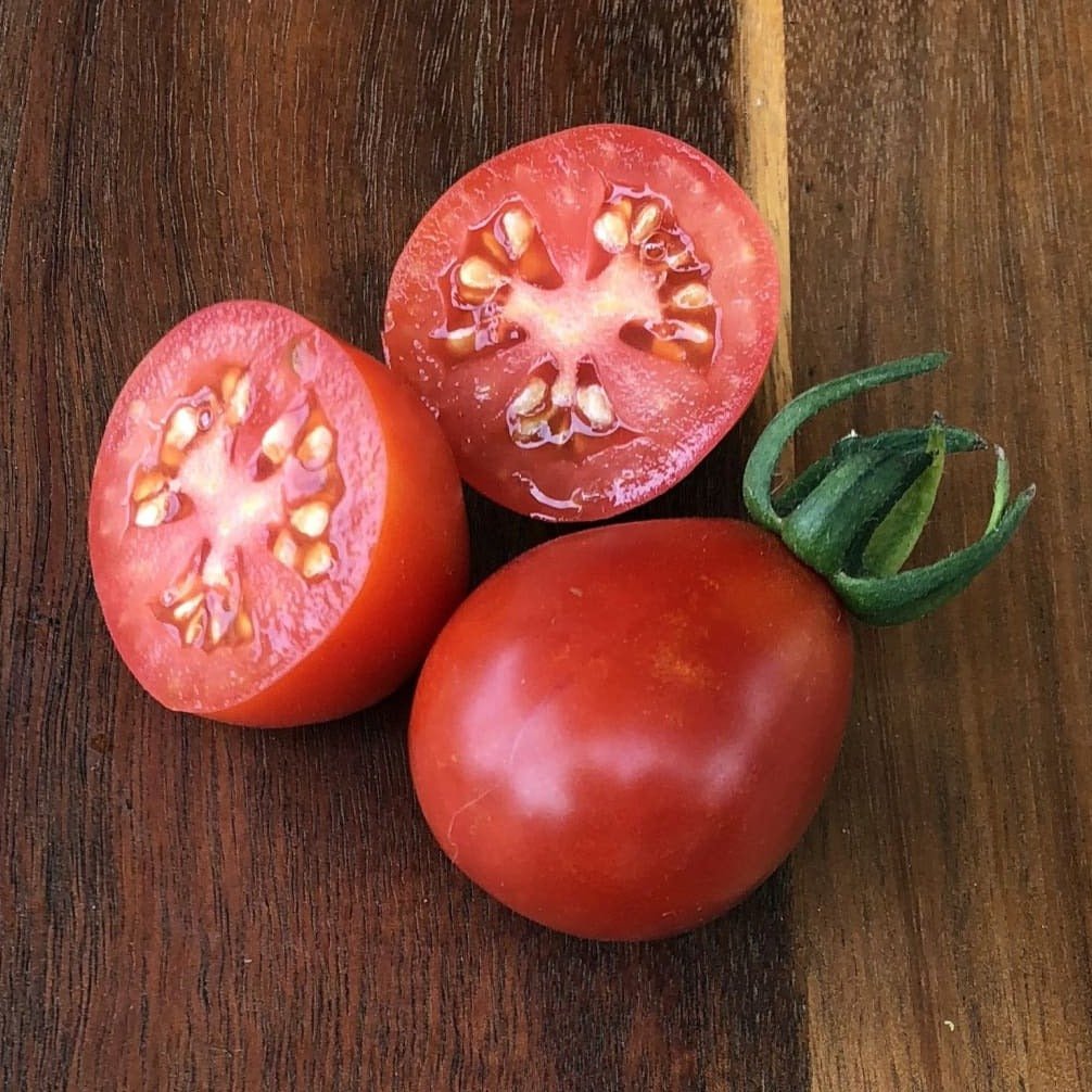 Napoli Tomato - Organic - Greta's Family Gardens