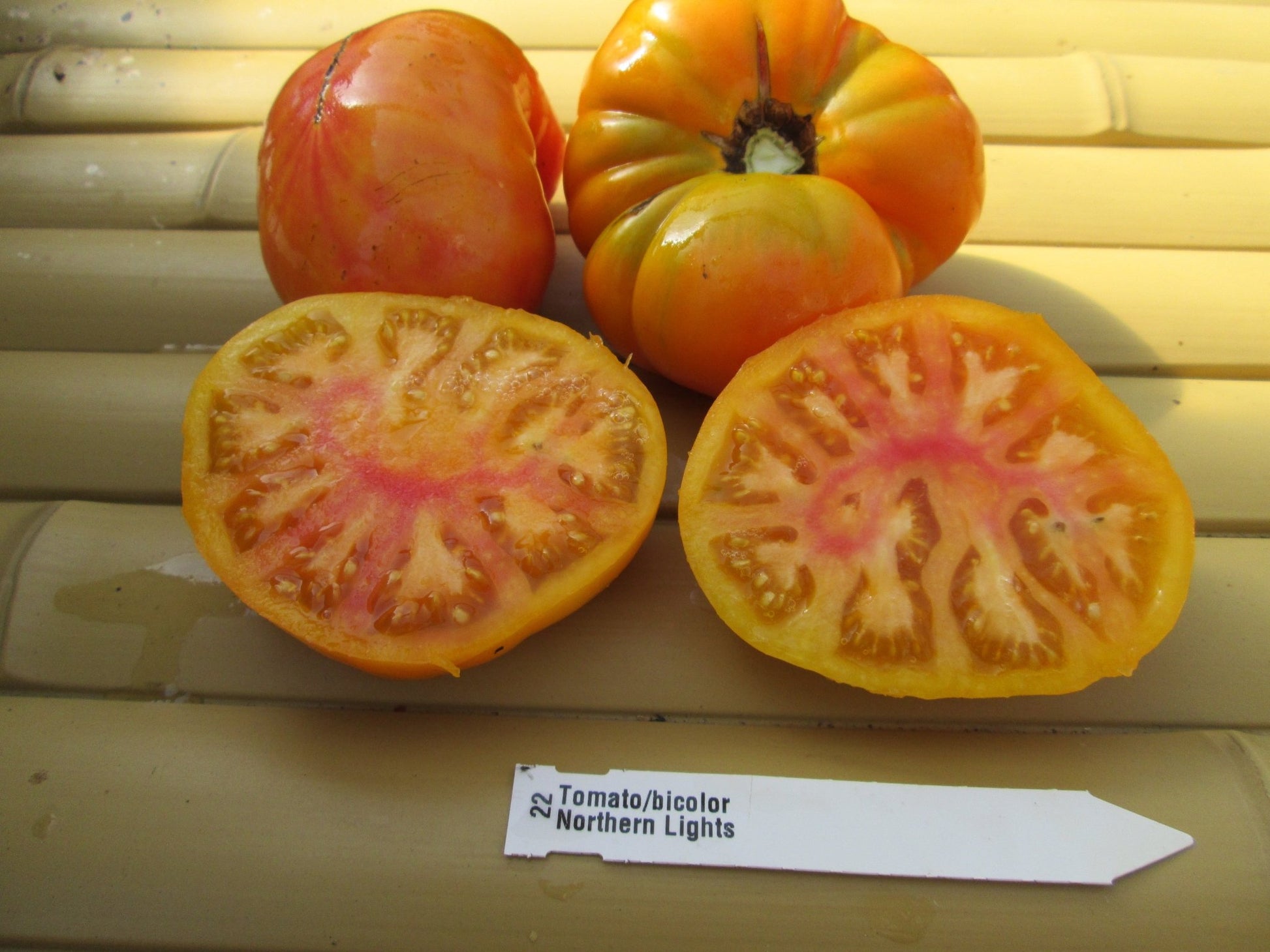 Northern Light Tomato - Organic - Greta's Family Gardens