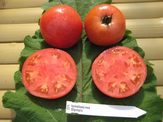 Olympic Tomato - Organic - Greta's Family Gardens