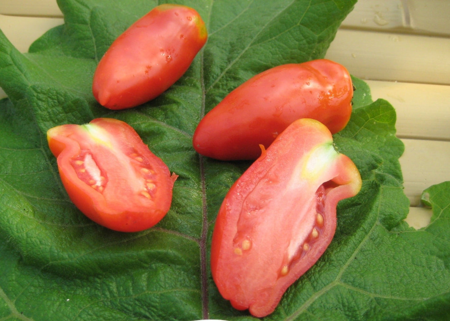 Opalka Tomato - Organic - Greta's Family Gardens