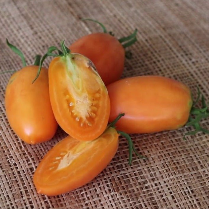 Orange Banana Tomato - Organic - Greta's Family Gardens